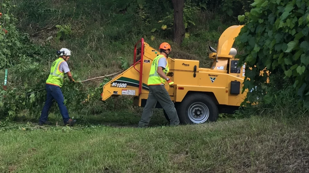 tree service minneapolis